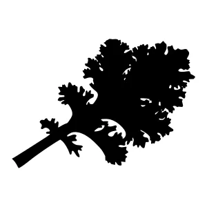 Black Kale Leaf Silhouette - Minimalist Design