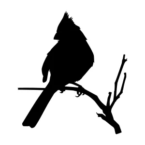 Cardinal Silhouette on Branch - Black & White