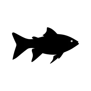 Black Fish Silhouette Vector Icon
