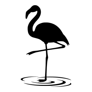 Silhouette Flamingo Water Reflection