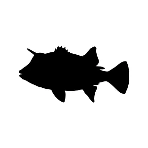 Black Fish Silhouette Vector Illustration