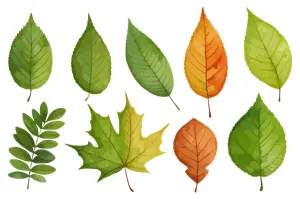 Autumn Leaf Seamless Pattern