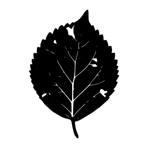 Black Leaf Silhouette Vector Illustration