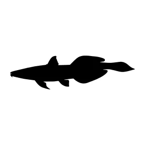 Black Fish Silhouette Vector Graphic