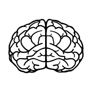 Brain Outline Vector Illustration