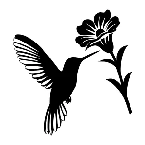 Silhouette Hummingbird Flower Illustration