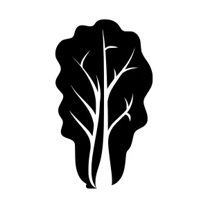 Black Lettuce Silhouette Icon
