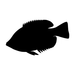 Black Fish Silhouette Vector Icon