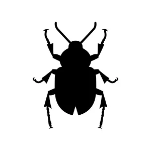 Black Beetle Silhouette Vector Icon