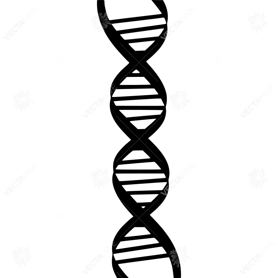 DNA Helix Icon - Black Outline