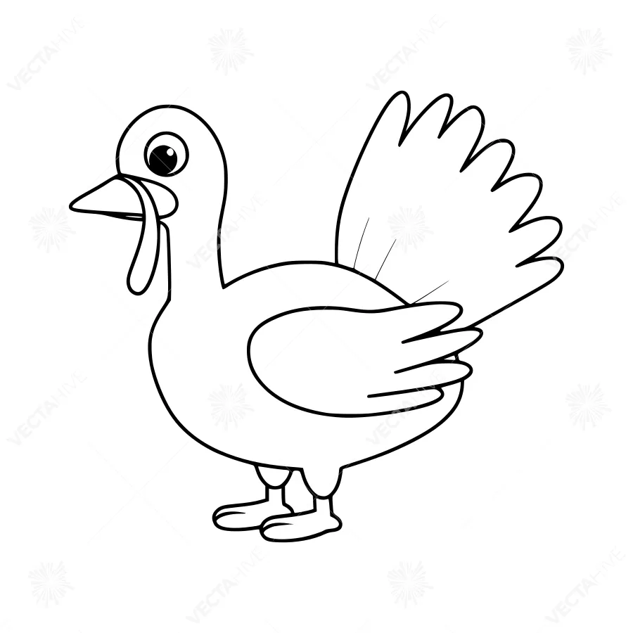 Black & White Turkey Illustration