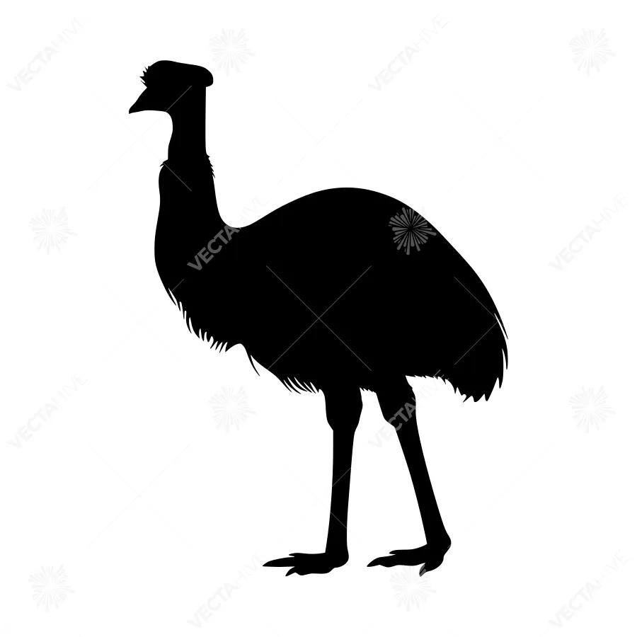Silhouette of an Emu - Black Bird Outline