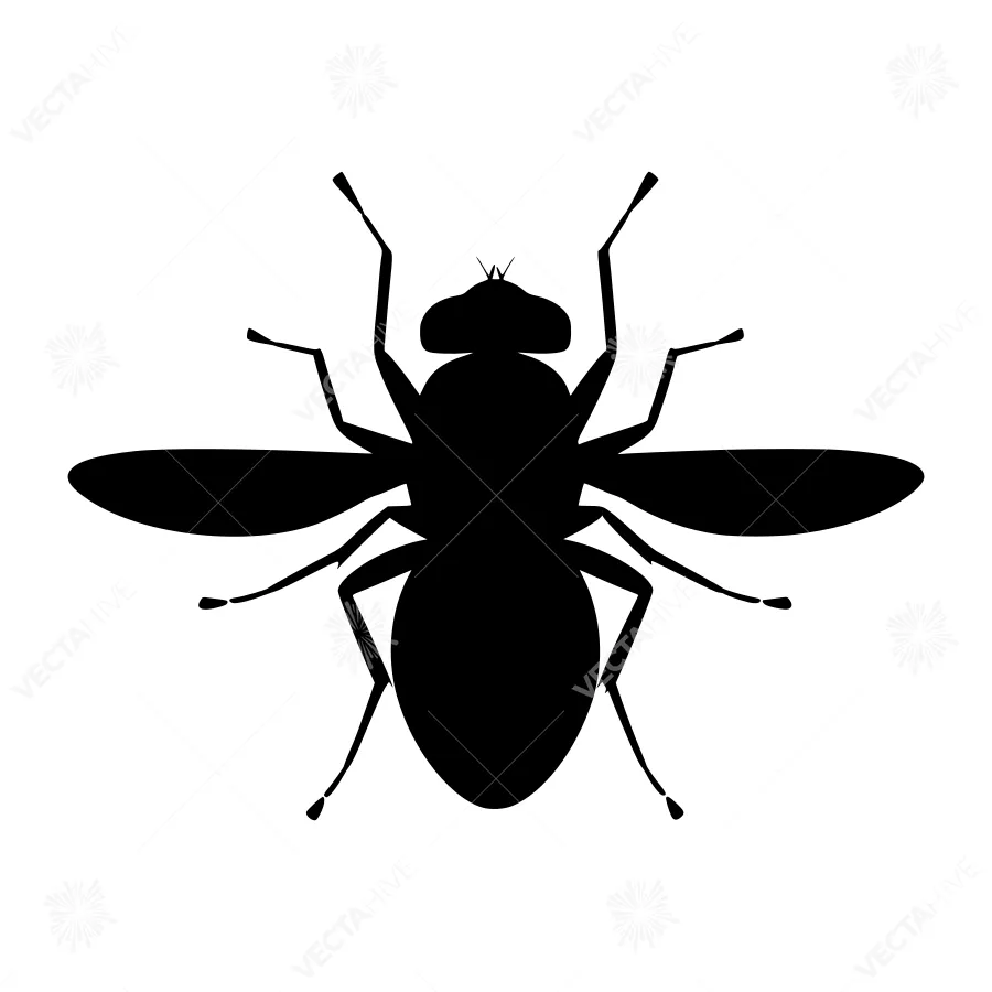Black Fly Silhouette Vector Illustration