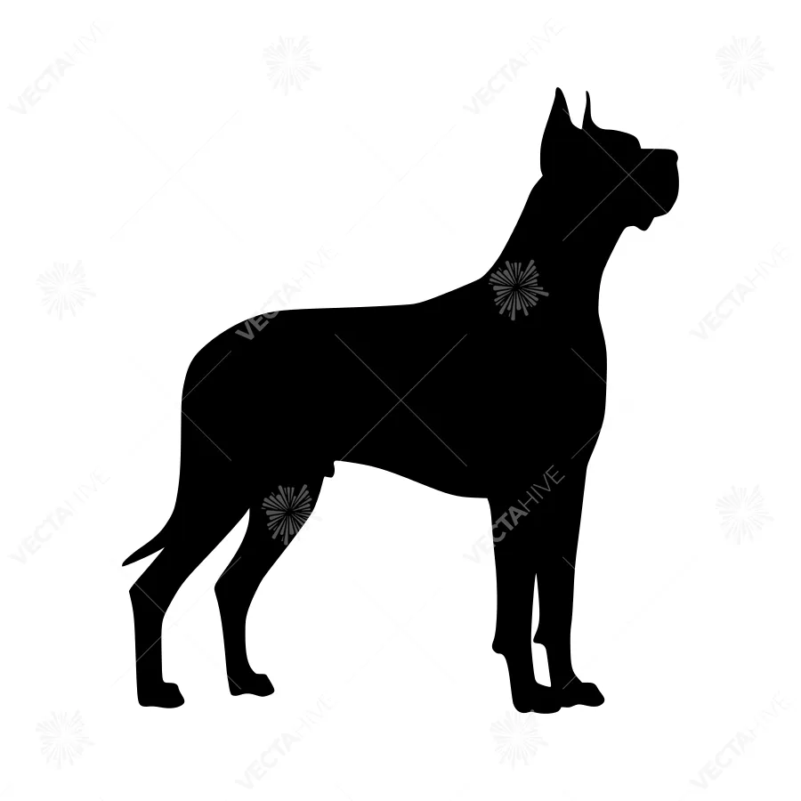 Great Dane Silhouette Vector Illustration