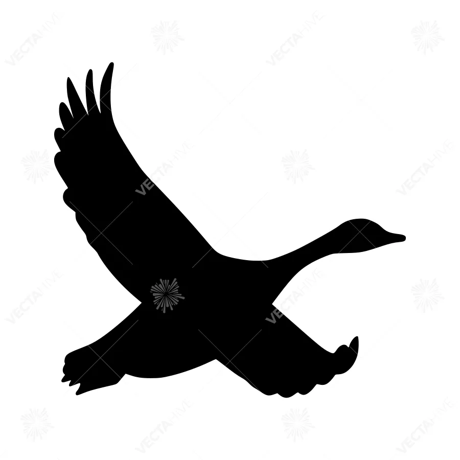 Silhouette Swan Flying - Vector Graphic
