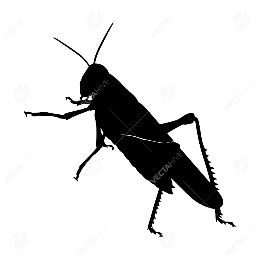 Silhouette Grasshopper - Minimalist Insect Vector