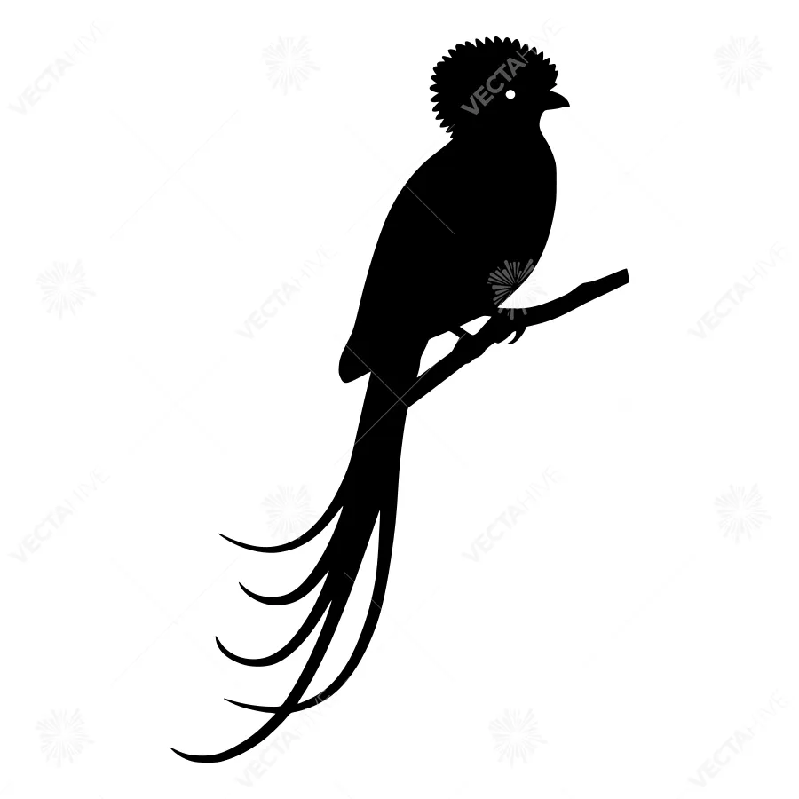 Black Silhouette Bird on Branch - Minimalist Design