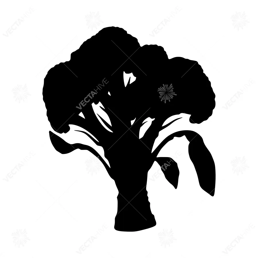 Silhouette Broccoli Vegetable Graphic