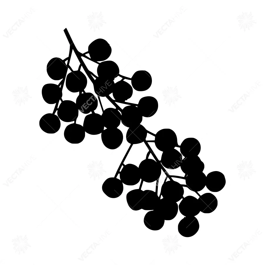 Black Berry Vine Silhouette