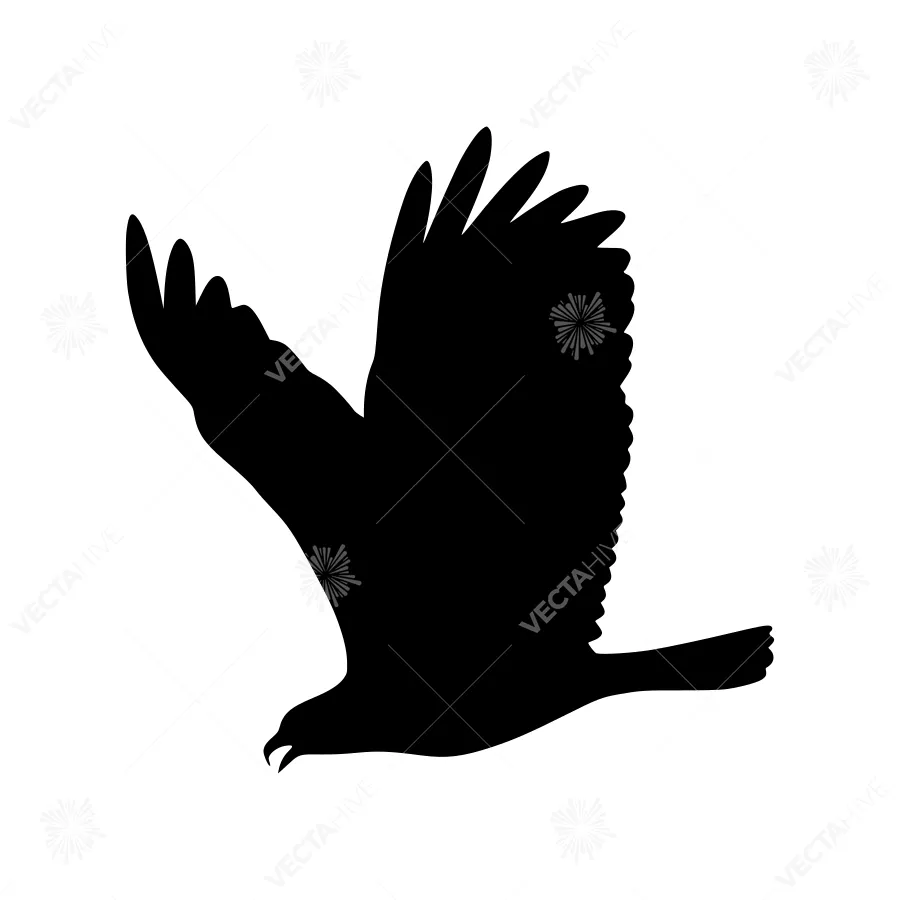 Black Eagle Silhouette Vector Graphic