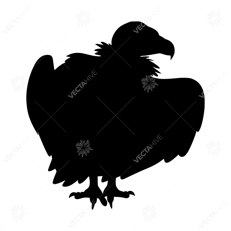 Silhouette of a Vulture - Black Bird Graphic