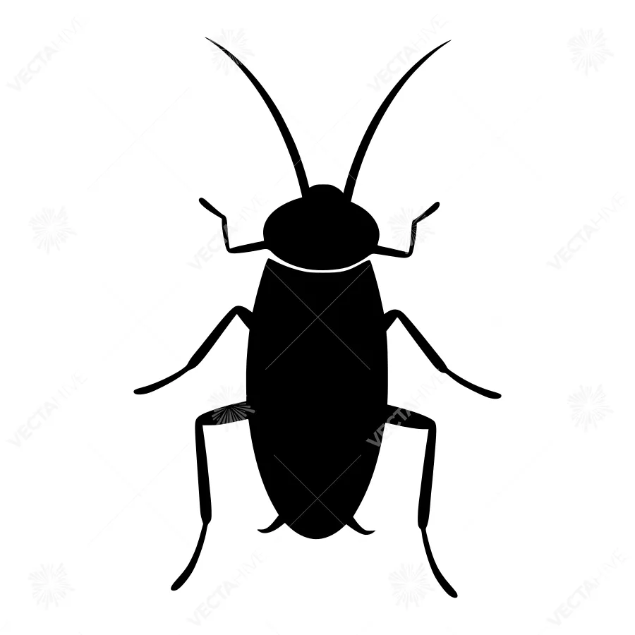 Black Cockroach Silhouette Icon
