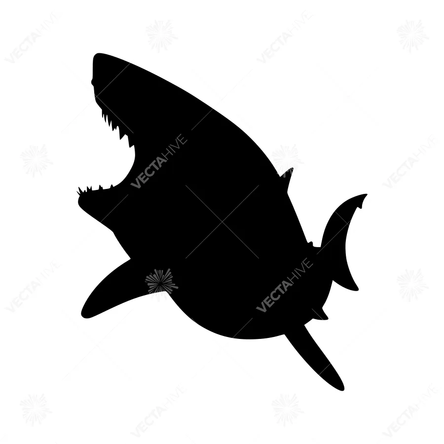 Shark Silhouette Vector Graphic