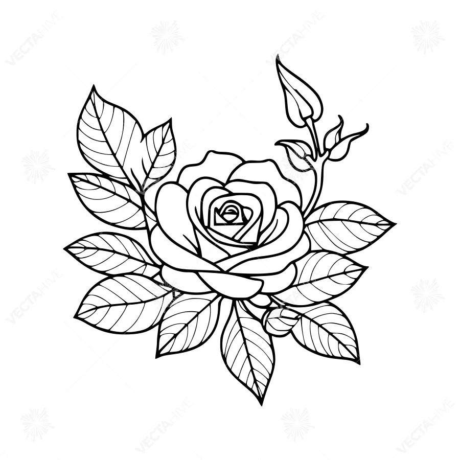 Black & White Rose Floral Illustration