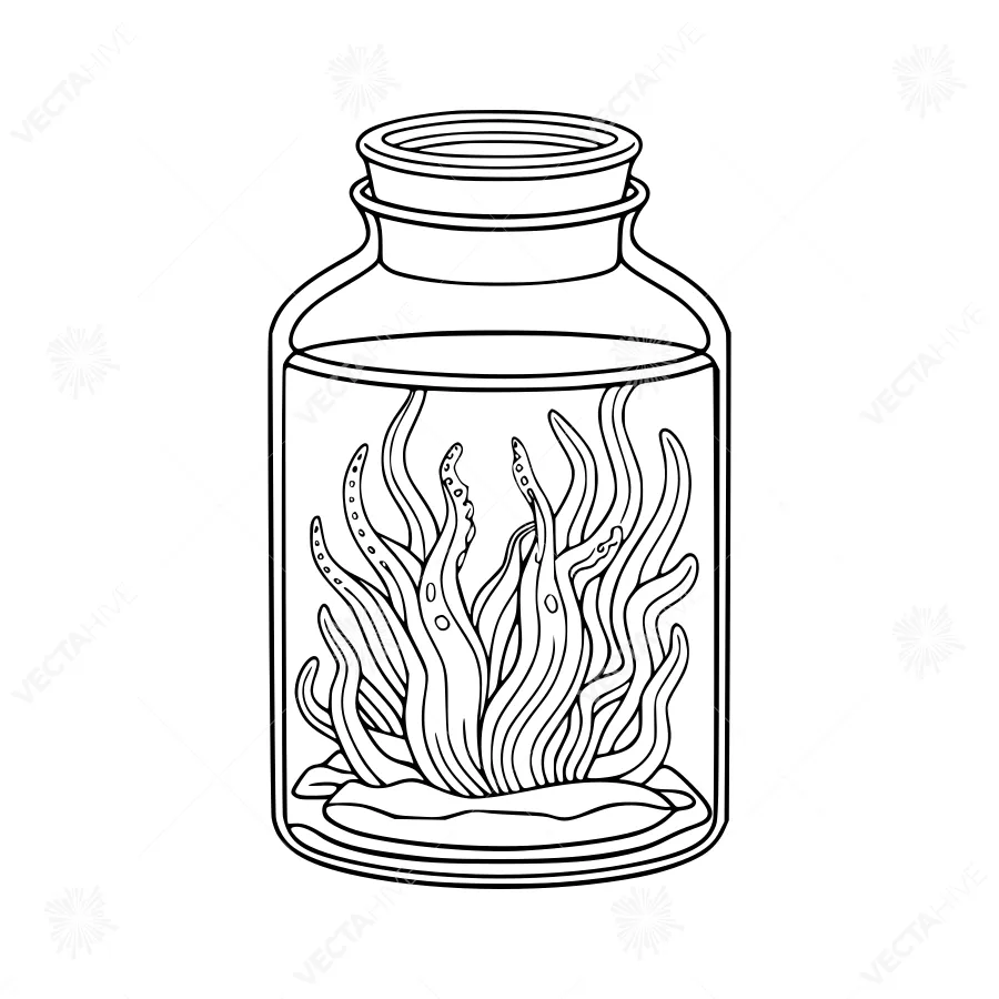 Jar with Seaweed Illustration - Line Art