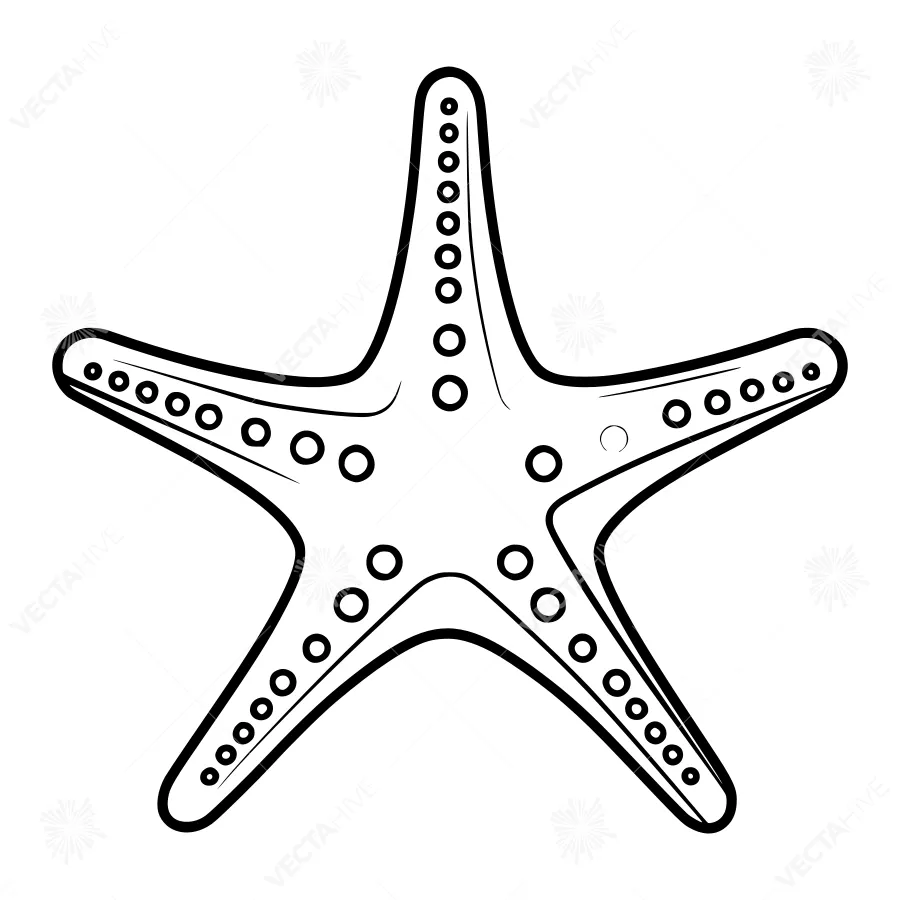 Black & White Starfish Illustration