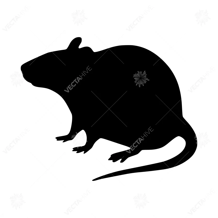 Black Rat Silhouette Vector Illustration