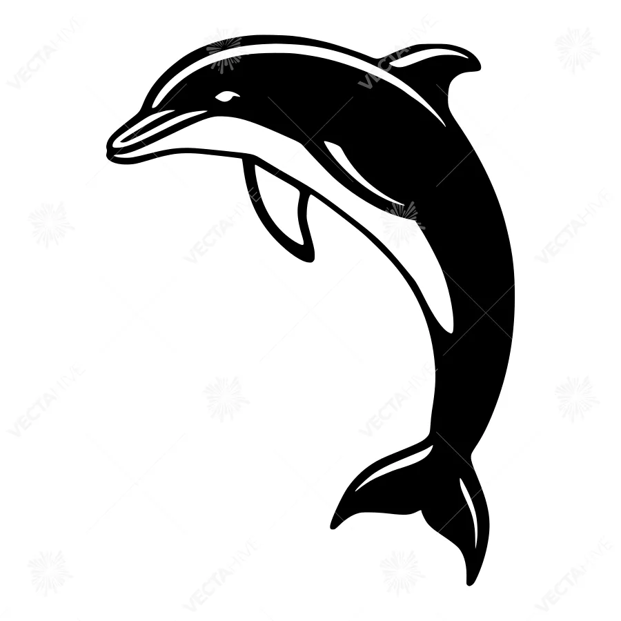 Black Silhouette Dolphin Illustration