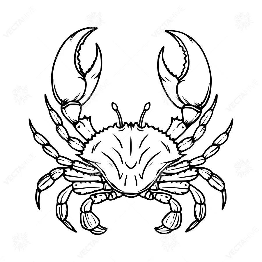 Cartoon Crab Illustration - Black Outline