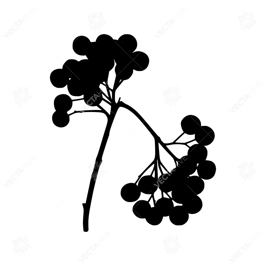 Black Berry Branch Silhouette