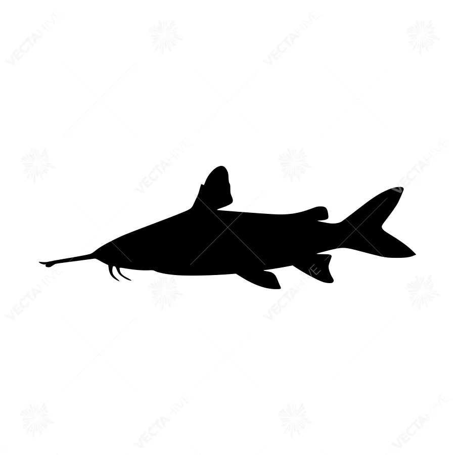 Silhouetted Catfish Vector Graphic