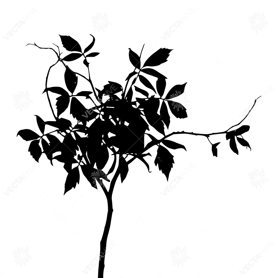 Black Tree Silhouette on White Background