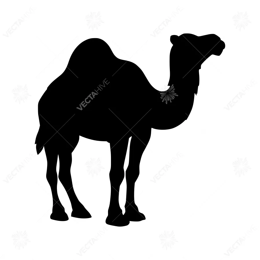 Camel Silhouette Vector Illustration