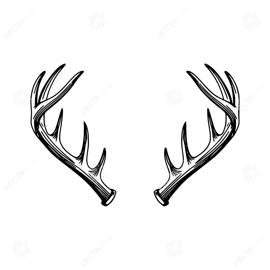Vintage Black Antlers Illustration - Decorative Elements