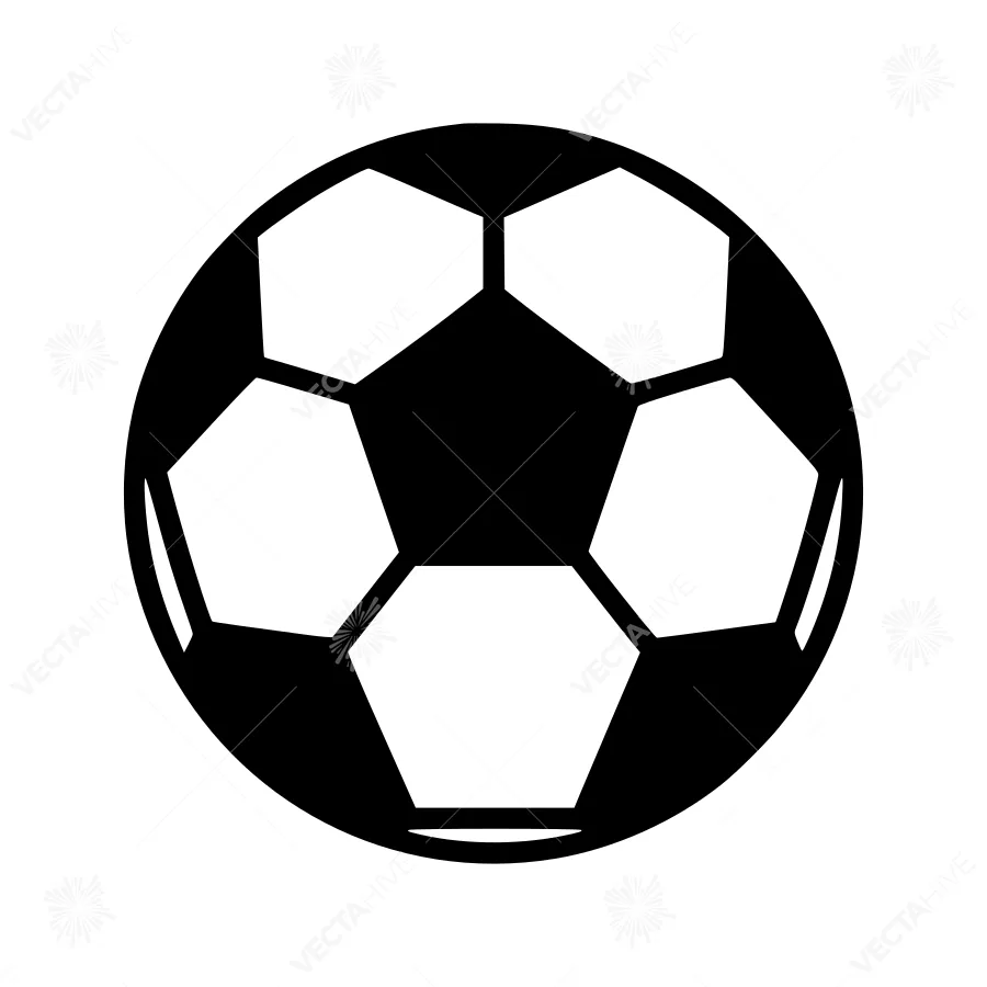 Black & White Soccer Ball Icon