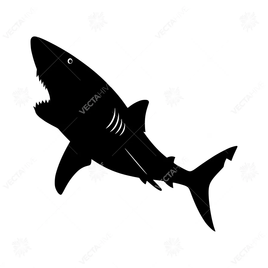 Shark Silhouette Vector Illustration