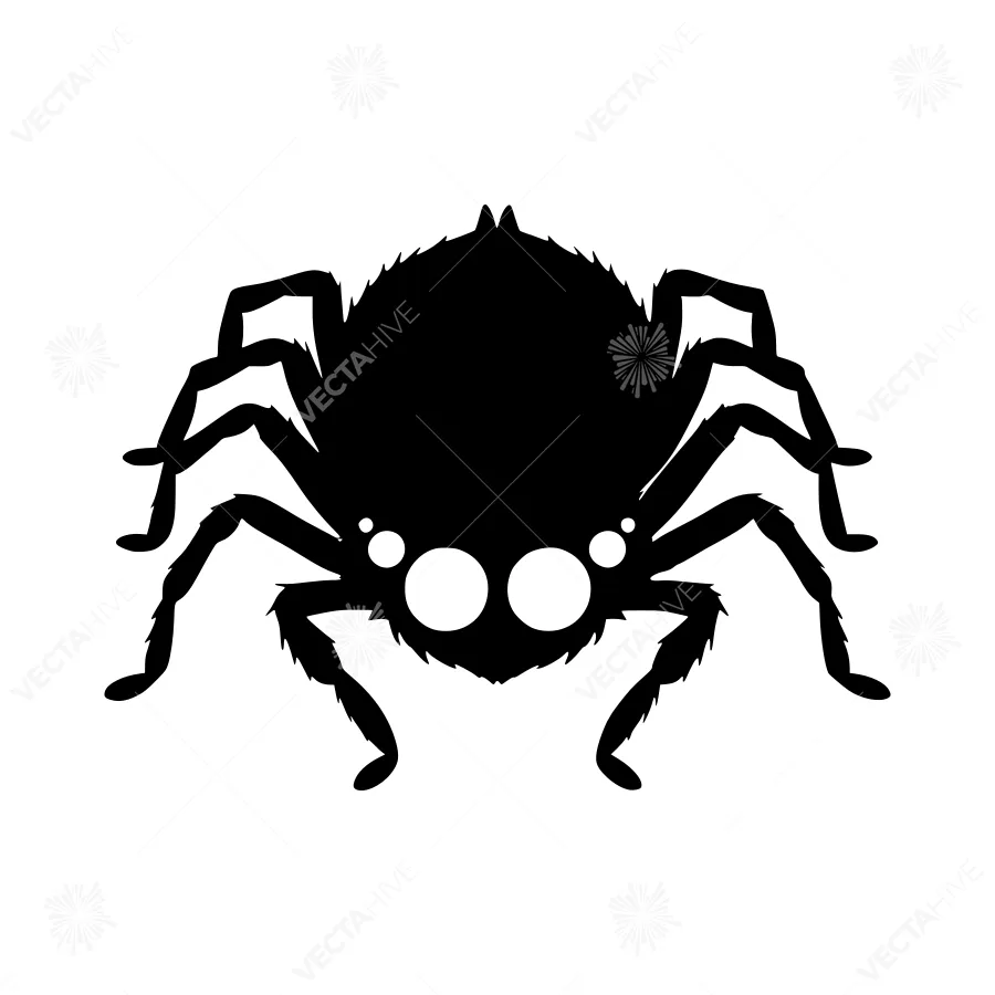 Black Spider Silhouette Icon