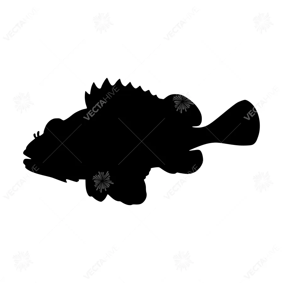 Black Grouper Fish Silhouette