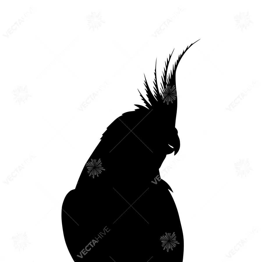 Silhouette of a Cockatoo - Black Bird Graphic