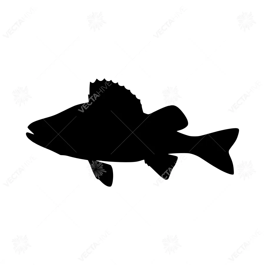 Black Fish Silhouette Vector Illustration