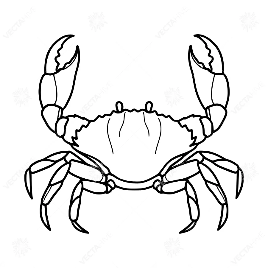 Cartoon Crab Illustration - Black Outline