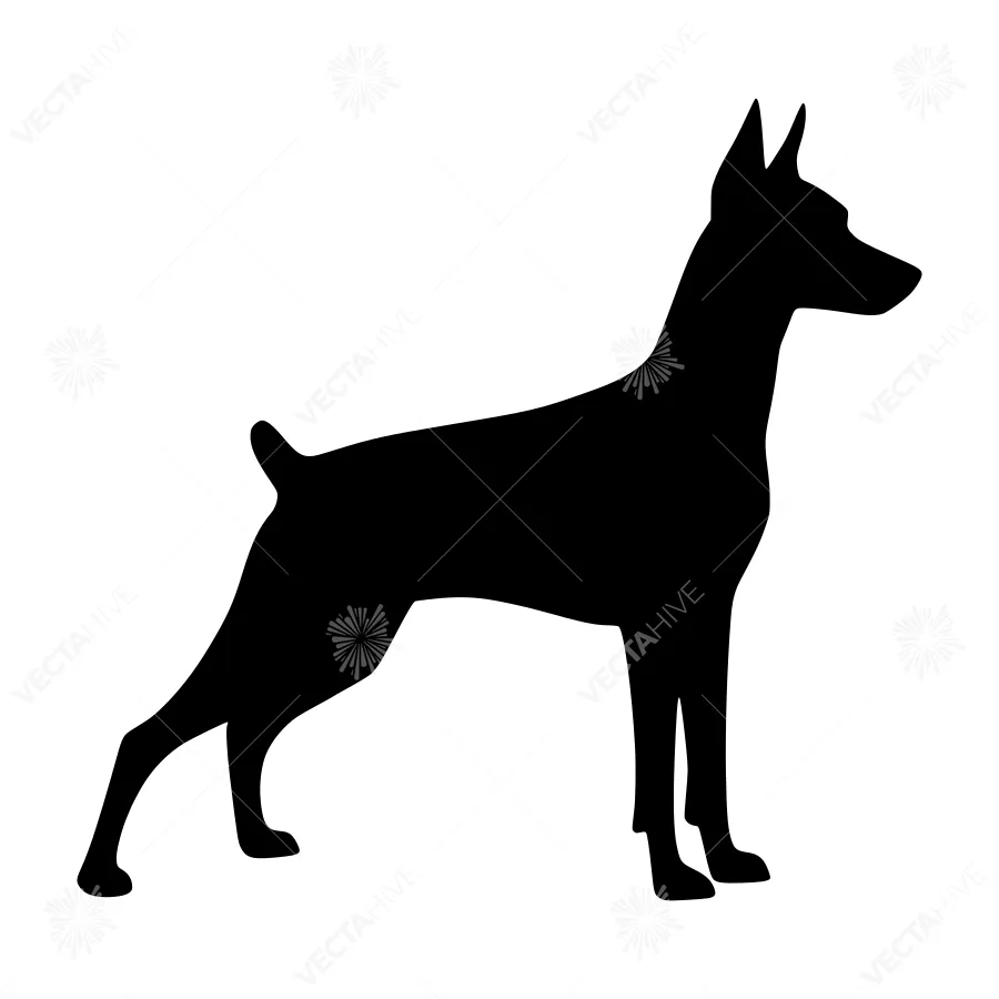 Doberman Silhouette Vector Illustration