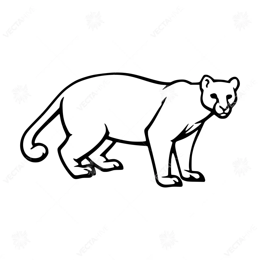 Silhouette Panther Graphic Vector Illustration