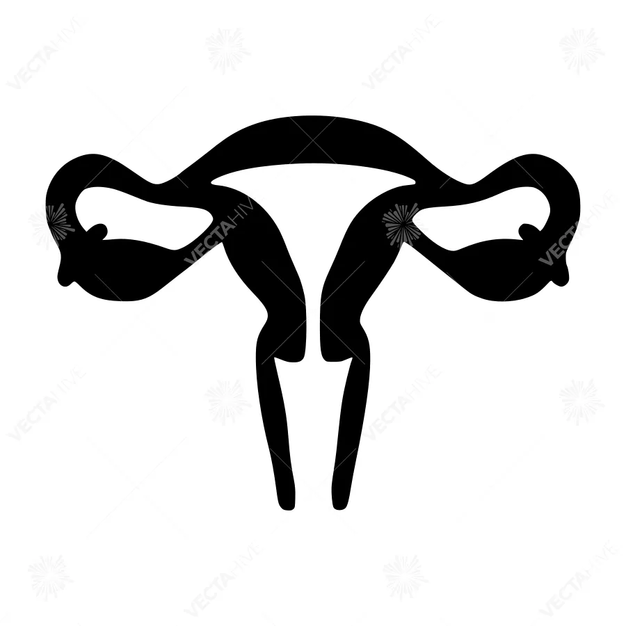 Female Reproductive System Icon - Black Silhouette