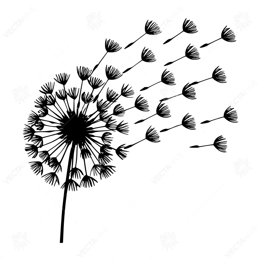 Dandelion Seed Head Silhouette