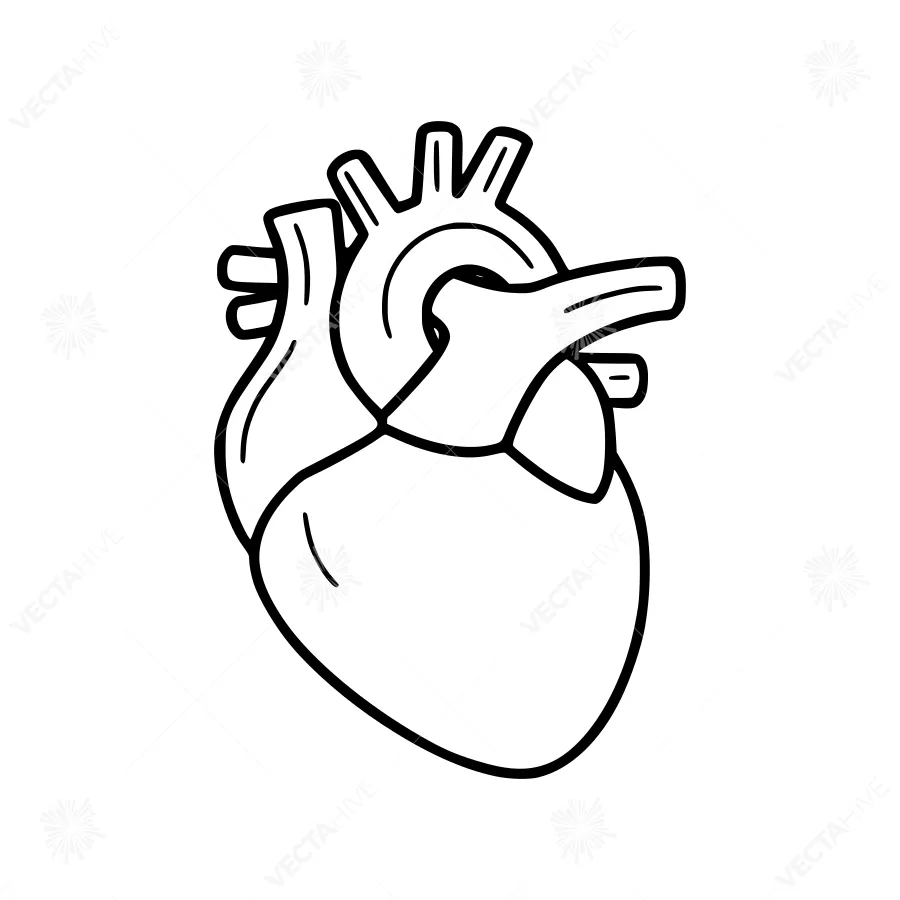 Heart Outline Illustration - Black and White
